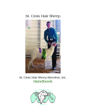St. Croix Hair Sheep