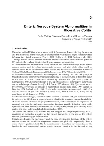 Enteric Nervous System Abnormalities In Ulcerative Colitis