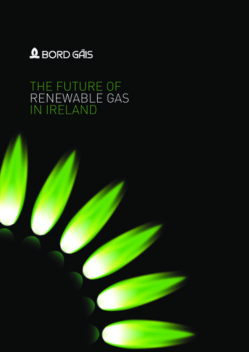 The Future Of Renewable Gas In Ireland