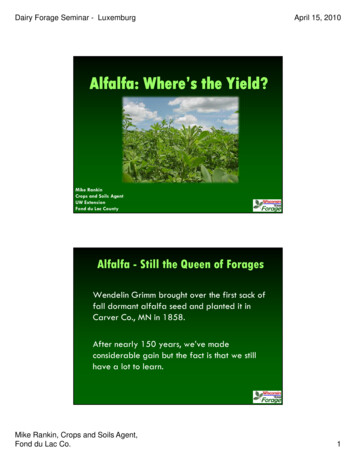Alfalfa: Where's The Yield - Extension Kewaunee County