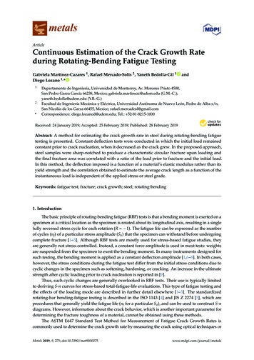 During Rotating-Bending Fatigue Testing
