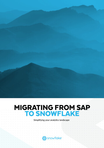 Migrating From Sap To Snowflake