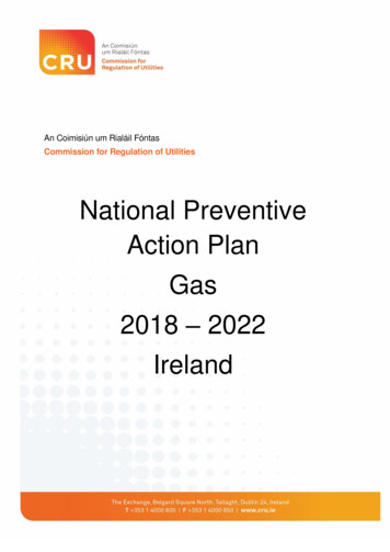 National Preventive Action Plan Gas 2018 2022 Ireland