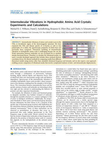 Intermolecular Vibrations In Hydrophobic Amino Acid Crystals .