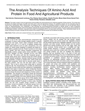 The Analysis Techniques Of Amino Acid And Protein In Food And .