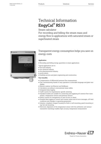 Technical Information EngyCal RS33