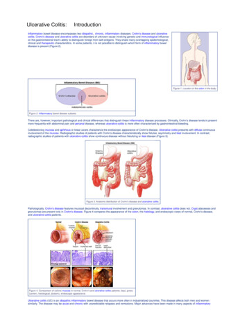 Ulcerative Colitis: Introduction - Hopkins Medicine