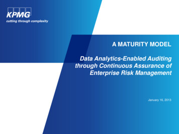 Data Analytics-Enabled Auditing Through Continuous Assurance Of .
