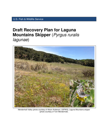Draft Recovery Plan For Laguna Mountains Skipper Pyrgus Ruralis Lagunae