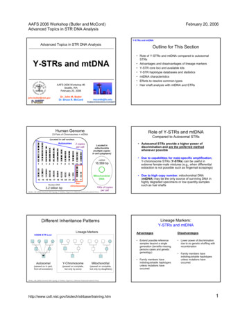 7 - Y-STRs And MtDNA - NIST