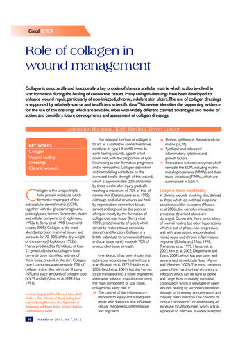 Role Of Collagen In Wound Management
