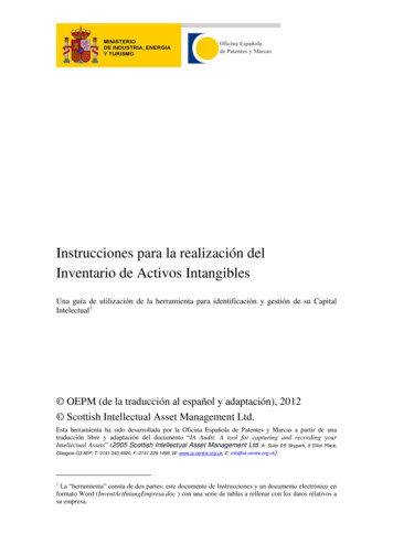 Inventario De Activos Intangibles - OEPM