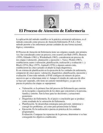 El Proceso De Atención De Enfermería - UNAM