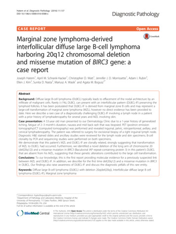 Marginal Zone Lymphoma-derived Interfollicular Diffuse Large B-cell .