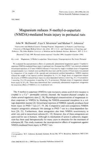 Magnesium Reduces N-methyl-D-aspartate (NMDA)-mediated Brain Injury In .