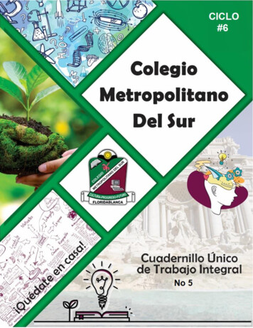COLEGIO METROPOLITANO DEL SUR - Conexión Educativa S.A.S