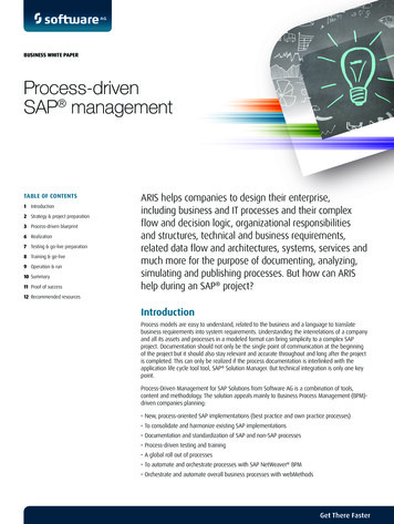 Process-driven SAP Management