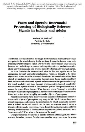 Faces And Speech: Intermodal Processing Of Biologically Relevant .