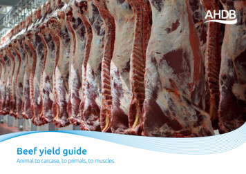Beef Yield Guide - Microsoft