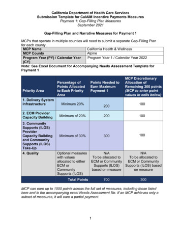 Gap-Filling Plan And Narrative Measures For Payment 1 MCP (CY) Note .