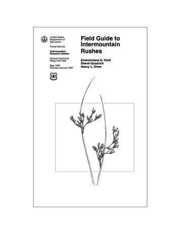Field Guide To Lntermountain Rushes - US Forest Service