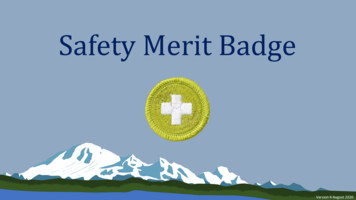 Safety Merit Badge - NorthWest Scouter