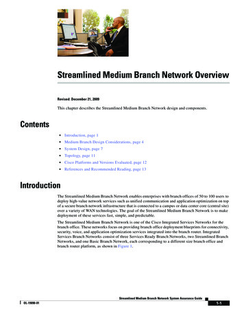 Streamlined Medium Branch Network Overview