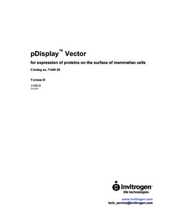 PDisplay Vector - Thermo Fisher Scientific