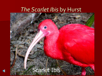 The Scarlet Ibis By Hurst - Central Bucks School District