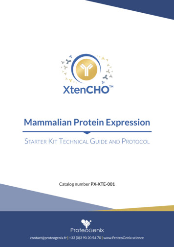 Mammalian Protein Expression - ProteoGenix