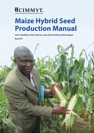 Maize Hybrid Seed Production Manual - Excellenceinbreeding