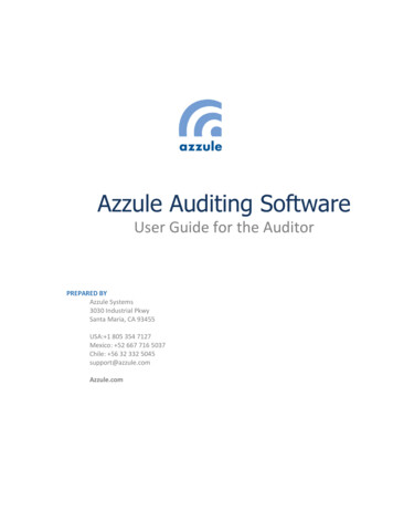 Azzule Auditing Software