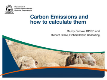 Carbon Emissions And How To Calculate Them