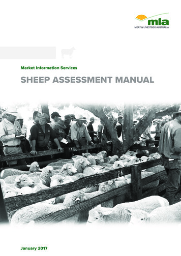Market Information Services SHEEP ASSESSMENT MANUAL - MLA