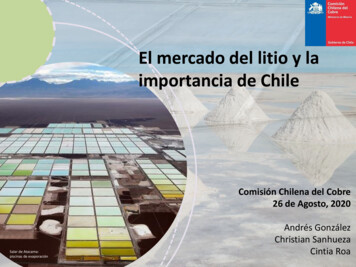 El Mercado Del Litio Y La Importancia De Chile - Cochilco