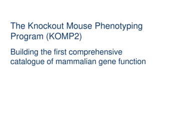 The Knockout Mouse Phenotyping Program (KOMP2)