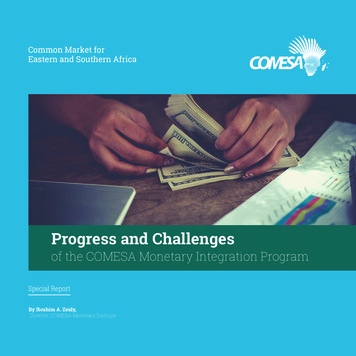 Progress And Challenges - COMESA