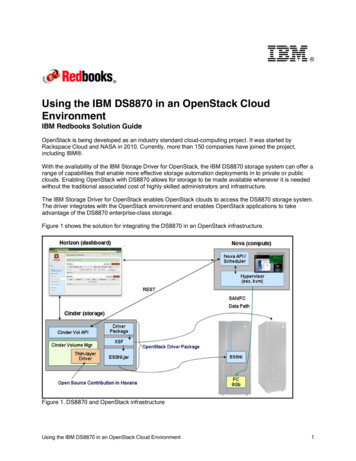Using The IBM DS8870 In An OpenStack Cloud Environment