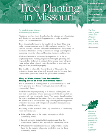 Tree Planting Citizen's Guide To Community In Missouri