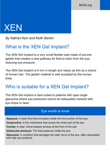 What Is The XEN Gel Implant? - MIGS 