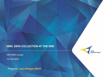 Xbrl Data Collection At The Srb