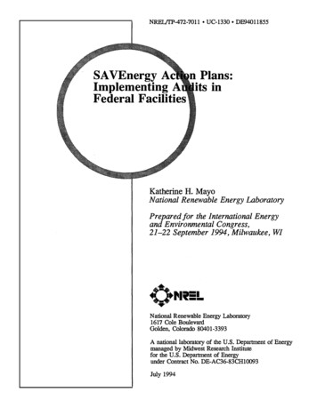 SAVEnergy Action Plans: Implementing Audits In Federal Facilities - NREL