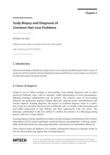 Scalp Biopsy And Diagnosis Of Common Hair Loss Problems