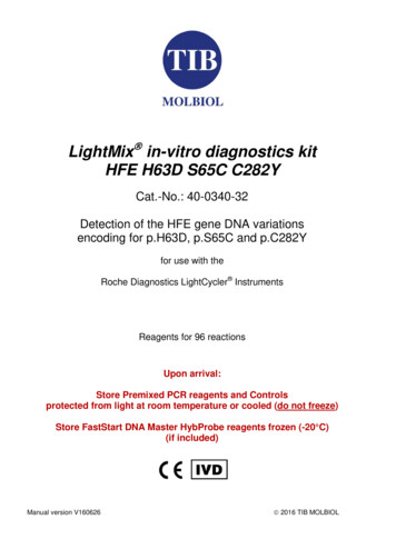 LightMix In-vitro Diagnostics Kit HFE H63D S65C C282Y