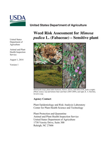Weed Risk Assessment For Mimosa Pudica L. (Fabaceae) - USDA