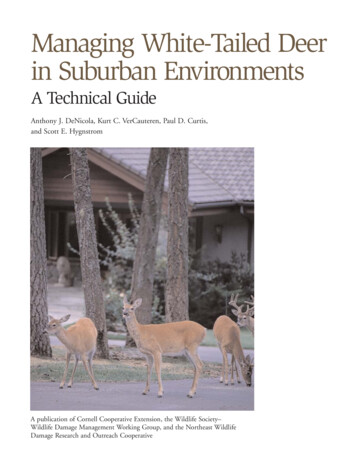 Managing White-Tailed Deer In Suburban Environments