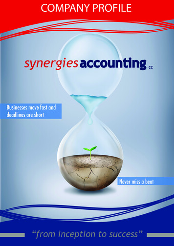 Company Profile Synergies Accounting, Company Profile 1