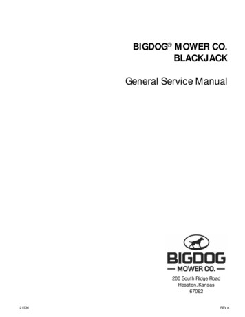 BIGDOG MOWER CO. BLACKJACK - Environmental-Expert 