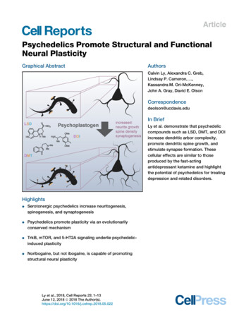 Psychedelics Promote Structural And Functional Neural Plasticity - UC Davis