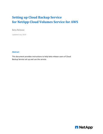 Setting Up Cloud Backup Service For NetApp Cloud Volumes Service For AWS